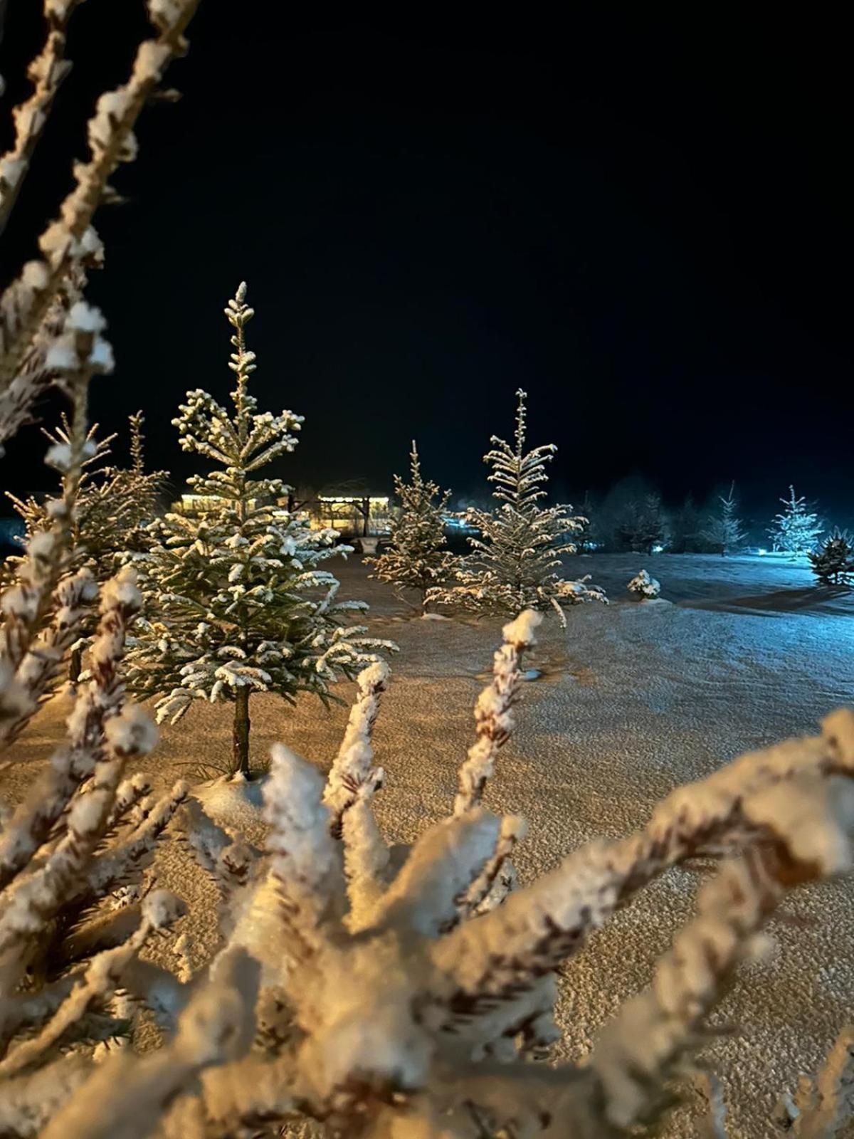 Domki Nad Sanem Bachorzec Dubiecko Bagian luar foto